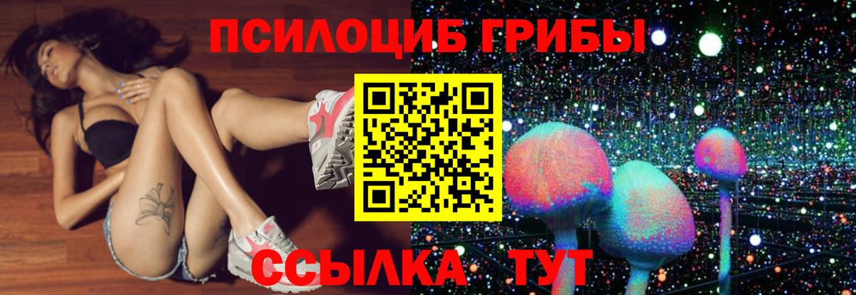 Галлюциногенные грибы Magic Shrooms  Галлюциногенные грибы мухоморы  Вход с VPN  Горно-Алтайск 